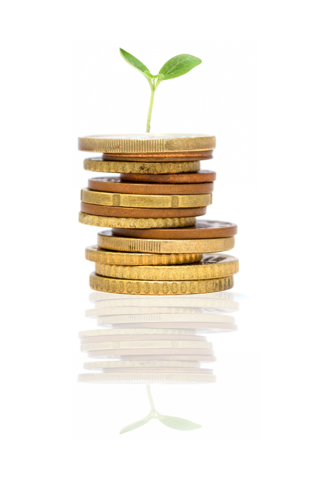 startup, growing, plant, nature, idea, investment, money, sprout, reflection